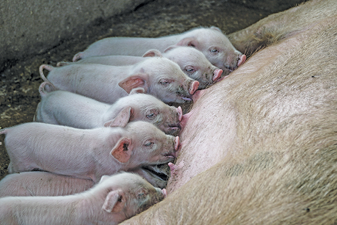 kameron-kincade-3WdgajWA9bg-unsplash