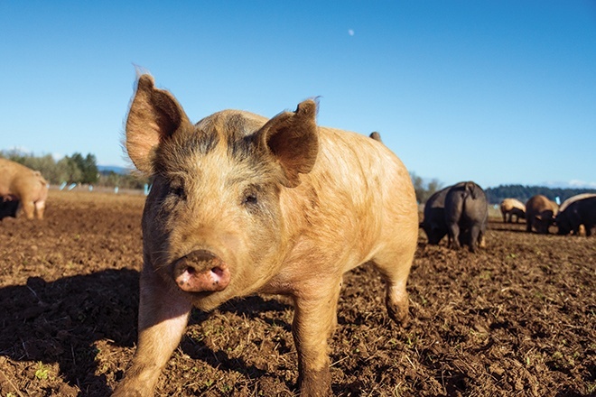 steven-weeks-w_cSBsncdzg-unsplash