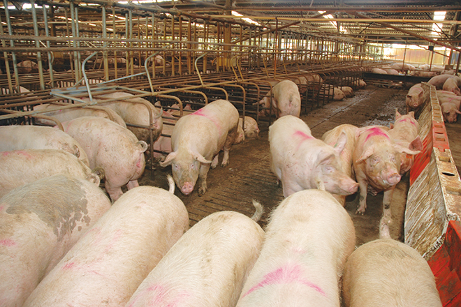 Five-Freedoms-No-Way-660px