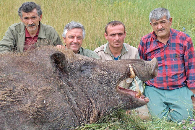 Foot and mouth disease