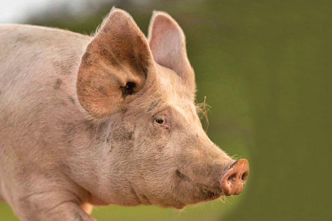 660px-1.-Screenshot-2023-04-24-at-1.05.41-pm enrichment