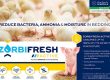 ZorbiFresh