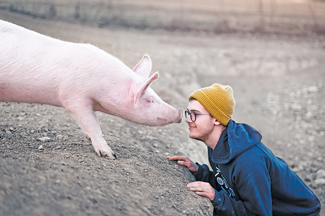 noval1-benjamin-wedemeyer_W