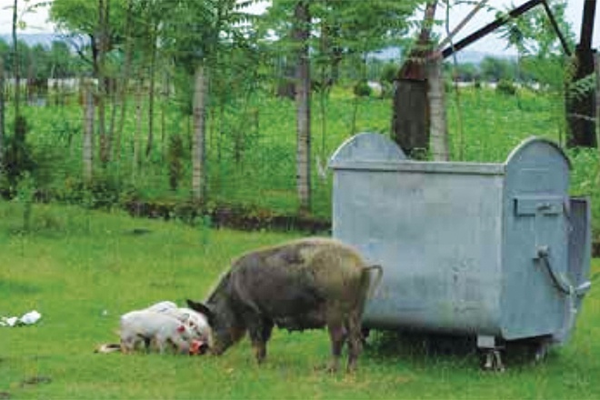 3.-Photo-1-Vittortio-Guberti-660PX