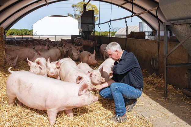 4.-SM-Australian-Pork-2021-13 Stockpeople