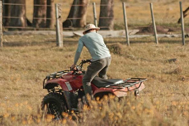 660px-1b.-pexels-gonzalo-facello-14085435 agriculture